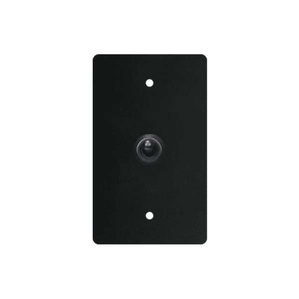 The Brass Toggle Switch - 1G TOGGLE SWITCH