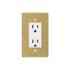 The Brass DUPLEX OUTLET  -1G DUPLEX OUTLET